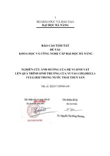 Báo cáo tóm tắt Đề tài Nghiên cứu ảnh hưởng của hệ vi sinh vật lên quá trình sinh trưởng của vi tảo Chlorella vulgaris trong nước thải thuỷ sản
