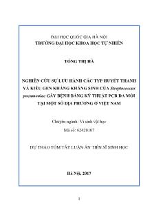 Dự thảo tóm tắt Luận án Nghiên cứu sự lưu hành các typ huyết thanh và kiểu gen kháng kháng sinh của Streptococcus pneumoniae gây bệnh bằng kỹ thuật PCR đa mồi tại một số địa phương ở Việt Nam