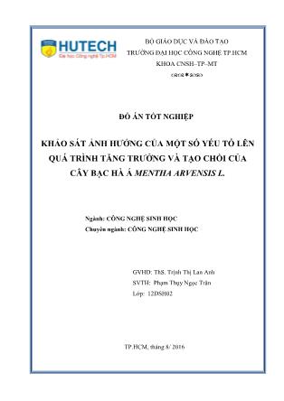 Đồ án Khảo sát ảnh hưởng của một số yếu tố lên quá trình tăng trưởng và tạo chồi của cây bạc hà á Mentha arvensis L