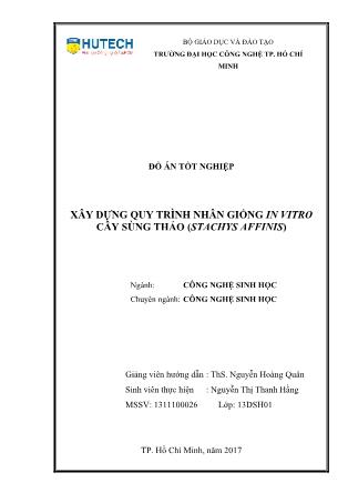 Đồ án Xây dựng quy trình nhân giống in vitro cây sùng thảo (Stachys affinis)