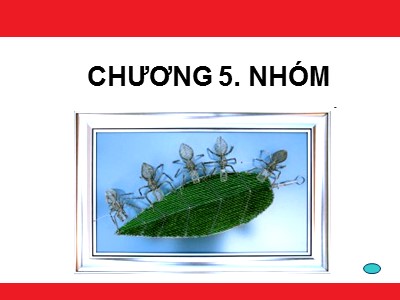 Bài giảng Kỹ năng làm việc nhóm - Chương 5: Nhóm