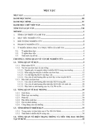 Đề tài Đánh giá rủi ro hàm lượng kim loại nặng trong rau muống và ảnh hưởng tới sức khoẻ con người ở thành phố Hồ Chí Minh