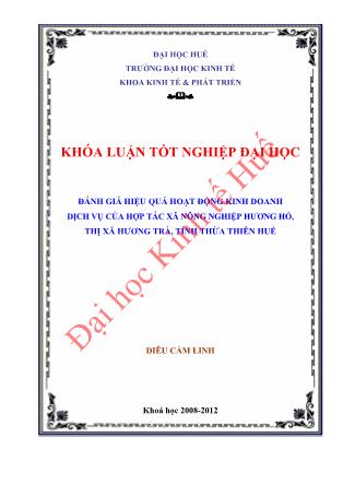 Khóa luận Đánh giá hiệu quả hoạt động kinh doanh dịch vụ của hợp tác xã nông nghiệp Hương Hồ, thị xã Hương Trà, tỉnh Thừa Thiên Huế
