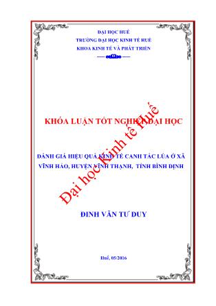 Khóa luận Đánh giá hiệu quả kinh tế canh tác lúa ở xã Vĩnh Hảo, huyện Vĩnh Thạnh, tỉnh Bình Định