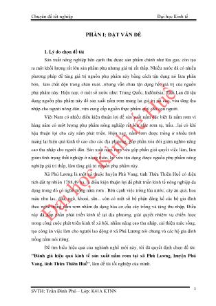 Khóa luận Đánh giá hiệu quả kinh tế sản xuất nấm rơm tại xã Phú Lương, huyện Phú Vang, tỉnh Thừa Thiên Huế