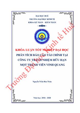 Khóa luận Phân tích Báo cáo tài chính tại Công ty Trách nhiệm Hữu hạn một thành viên Vinh Quang