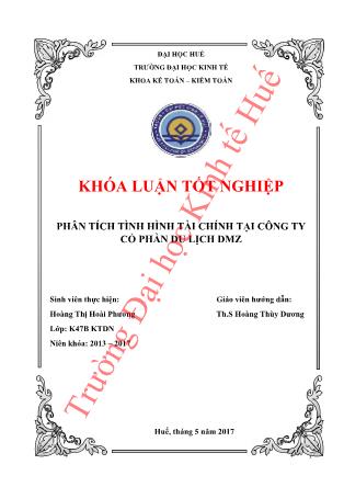 Khóa luận Phân tích tình hình tài chính tại Công ty Cổ phần du lịch DMZ