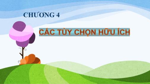 Bài giảng Tin học - Phần 2 - Chương 4: Các tùy chọn hữu ích