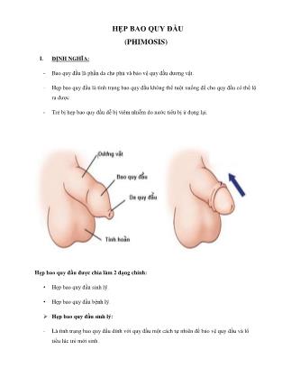 Bài giảng Hẹp bao quy đầu (Phimosis)