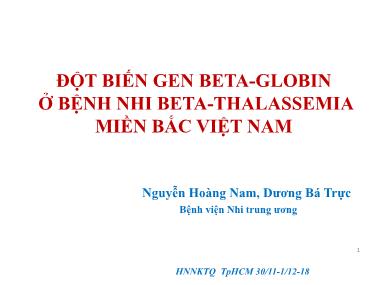 Bài thuyết trình Đột biến gen beta-globin ở bệnh nhi beta-thalassemia miền Bắc Việt Nam - Nguyễn Hoàng Nam