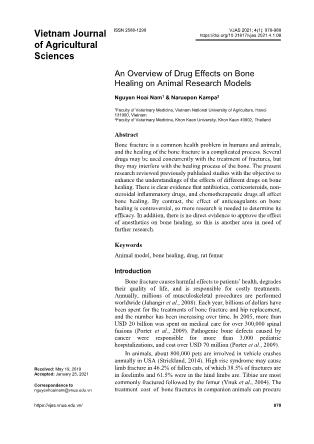 An overview of drug effects on bone healing on animal research models