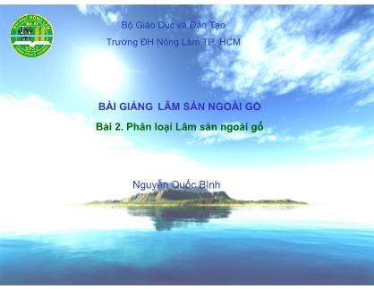Bài giảng Lâm sản ngoài gỗ - Bài 2: Phân loại Lâm sản ngoài gỗ - Nguyễn Quốc Bình