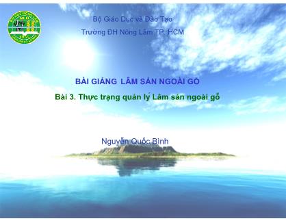 Bài giảng Lâm sản ngoài gỗ - Bài 3: Thực trạng quản lý Lâm sản ngoài gỗ - Nguyễn Quốc Bình