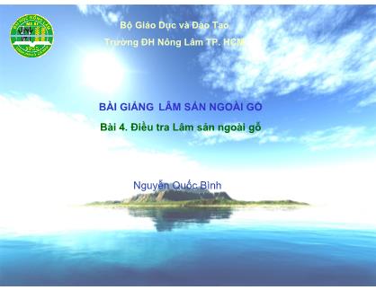 Bài giảng Lâm sản ngoài gỗ - Bài 4: Điều tra Lâm sản ngoài gỗ - Nguyễn Quốc Bình