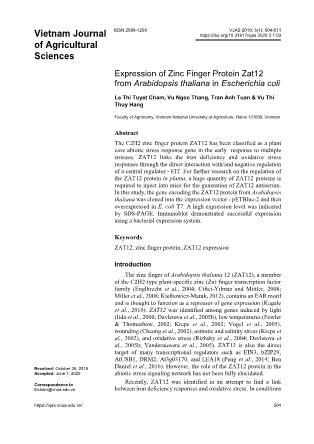 Expression of Zinc finger protein ZAT12 from Arabidopsis thaliana in Escherichia coli