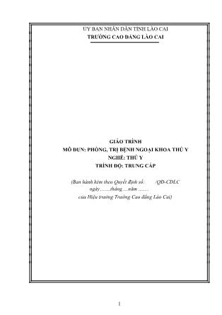 Giáo trình mô đun Phòng, trị bệnh ngoại khoa thú y - Nghề: Thú y