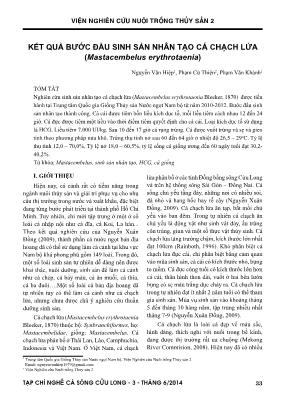 Kết quả bước đầu sinh sản nhân tạo cá chạch lửa (Mastacembelus erythrotaenia)
