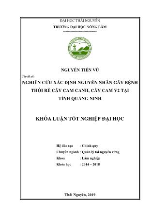Khóa luận Nghiên cứu xác định nguyên nhân gây bệnh thối rễ cây cam canh, cây cam V2 tại tỉnh Quảng Ninh