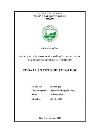 Khóa luận Phân lập, tuyển chọn vi nấm phân hủy xenlulo dưới tán rừng Thông tại Đại Lải, Vĩnh Phúc