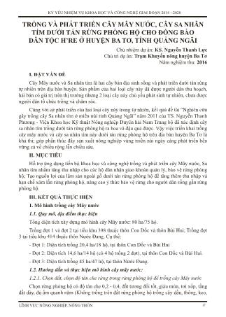 Trồng và phát triển cây mây nước, cây sa nhân tím dưới tán rừng phòng hộ cho đồng bào dân tộc H’re ở huyện Ba Tơ, tỉnh Quảng Ngãi